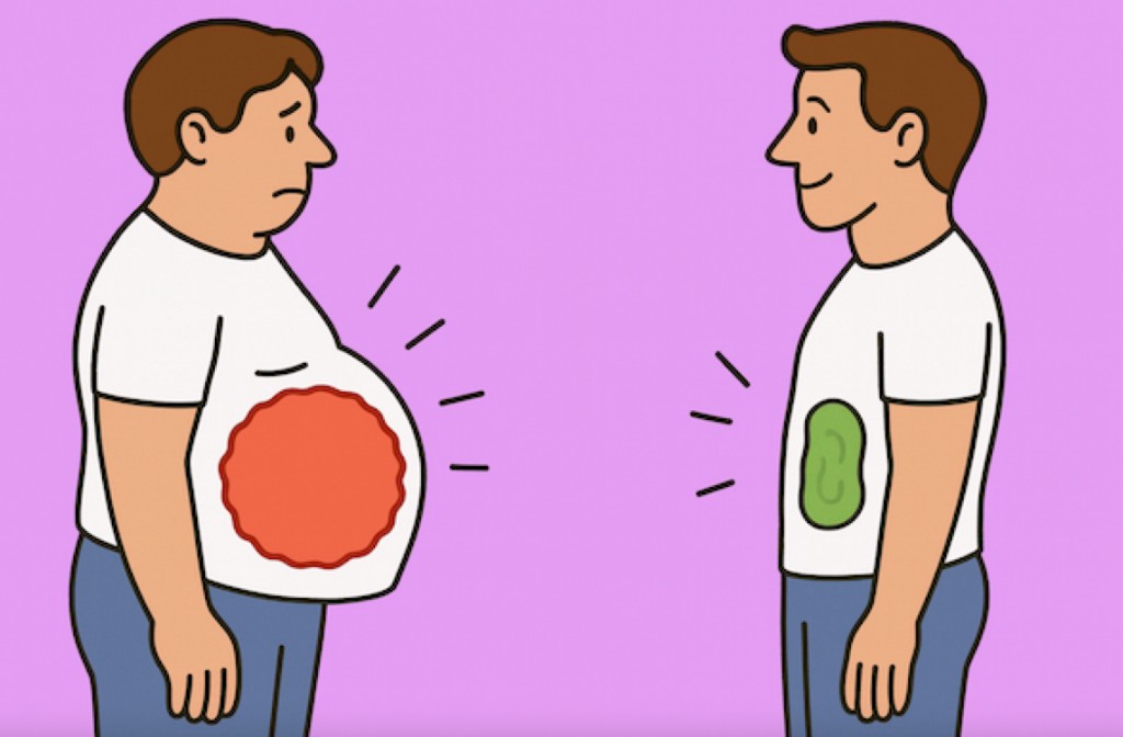 Illustrated comparison: before with excess weight and inflammation, after leaner and healthier.